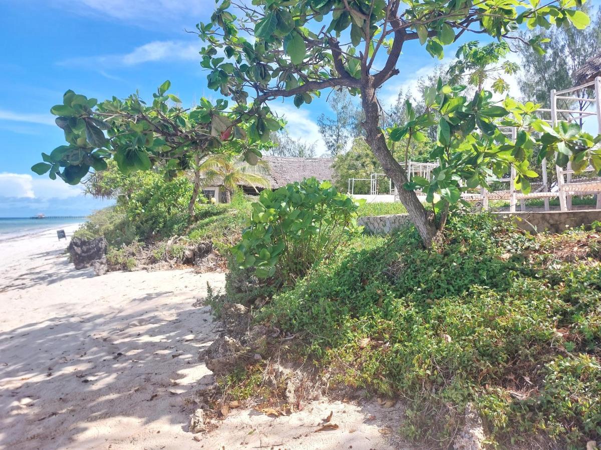 Jaribu Beach Hotel باجي المظهر الخارجي الصورة