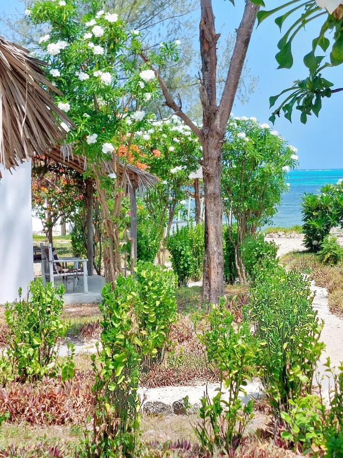 Jaribu Beach Hotel باجي المظهر الخارجي الصورة