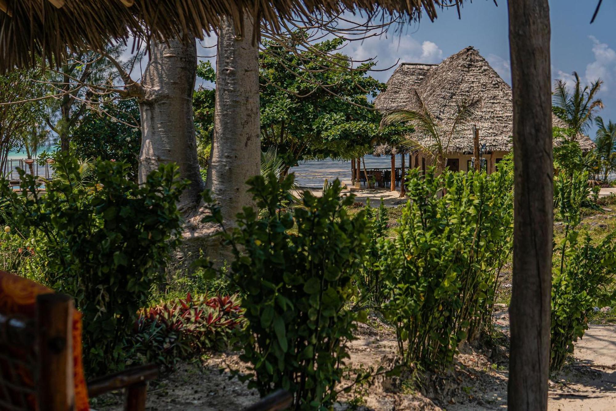 Jaribu Beach Hotel باجي المظهر الخارجي الصورة