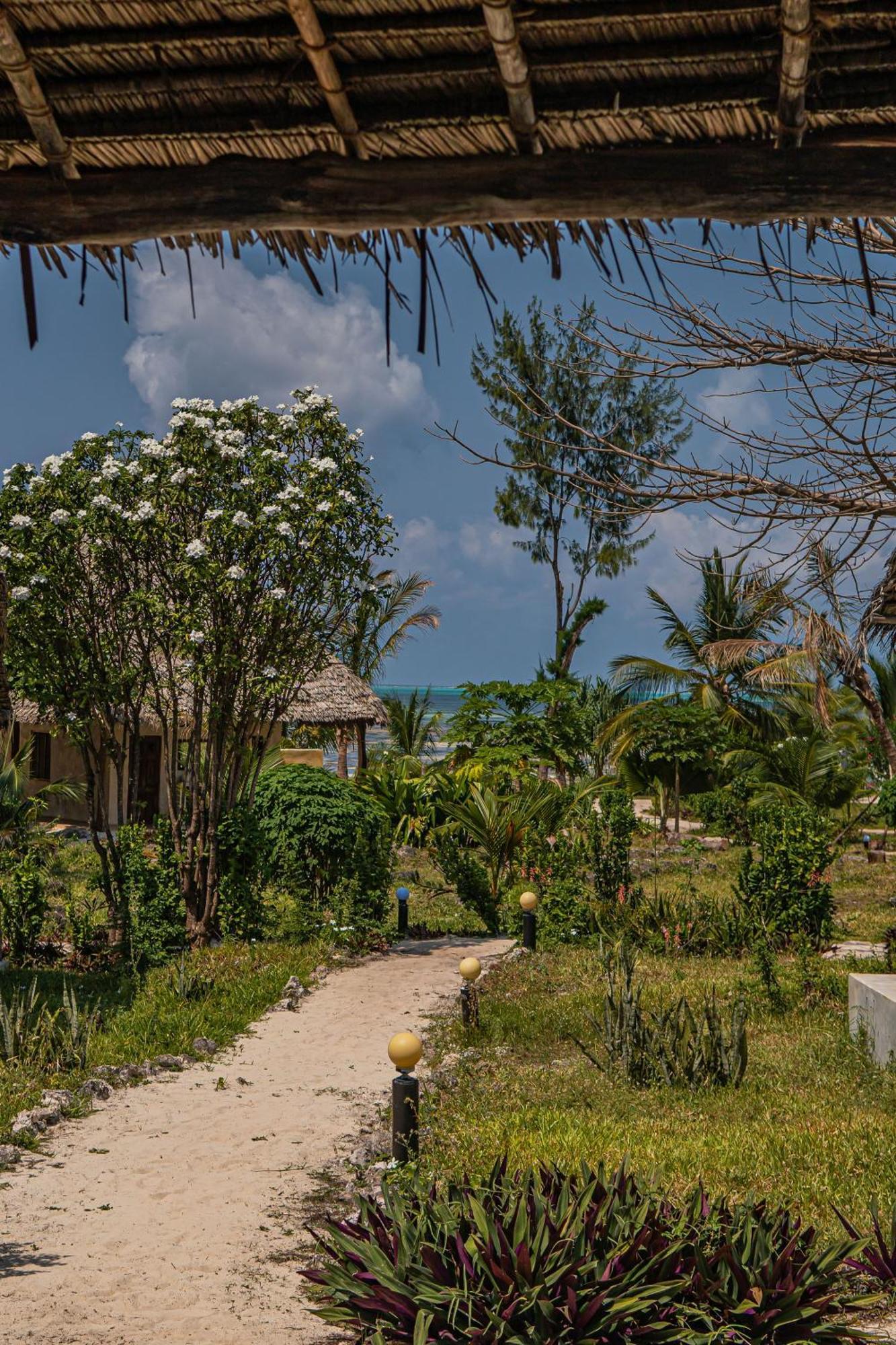 Jaribu Beach Hotel باجي المظهر الخارجي الصورة